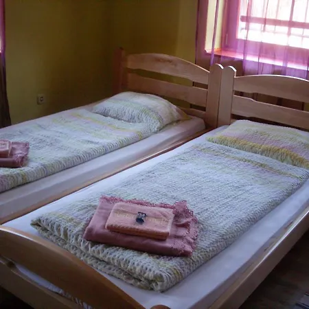 招待所 Vratnik 4*