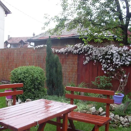 Guest house Vratnik 4*
