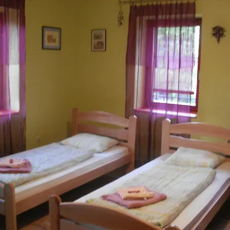 Guest house Vratnik 4*