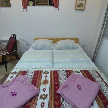 招待所 Vratnik 4*